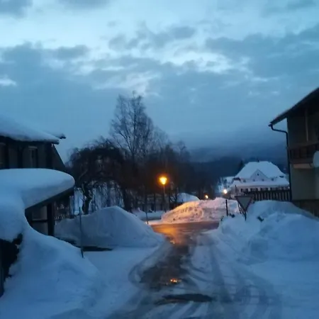 Haus Haidweg - Ferienwohnungen in Haidmühle im Dreiländereck DE-CZ-AT Exterior foto